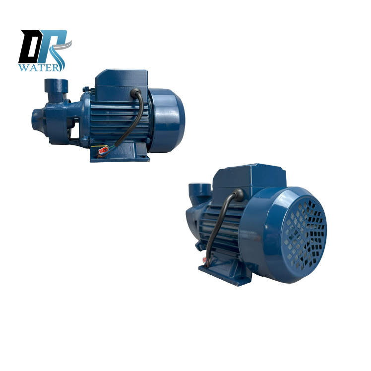 پمپ 1 اسب محیطی